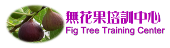 Home Logo